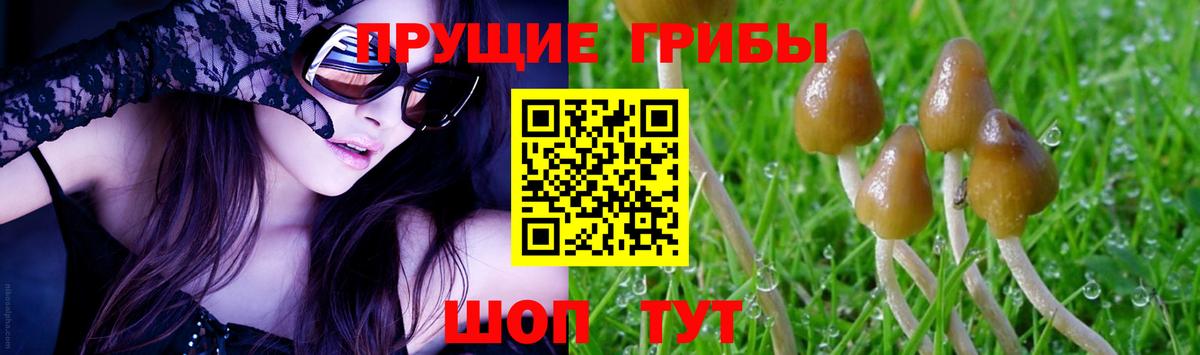 Петропавловск-Камчатский  Галлюциногенные грибы прущие грибы  Вход с VPN 