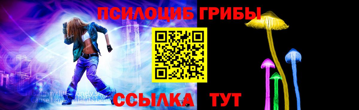 Галлюциногенные грибы прущие грибы Петропавловск-Камчатский